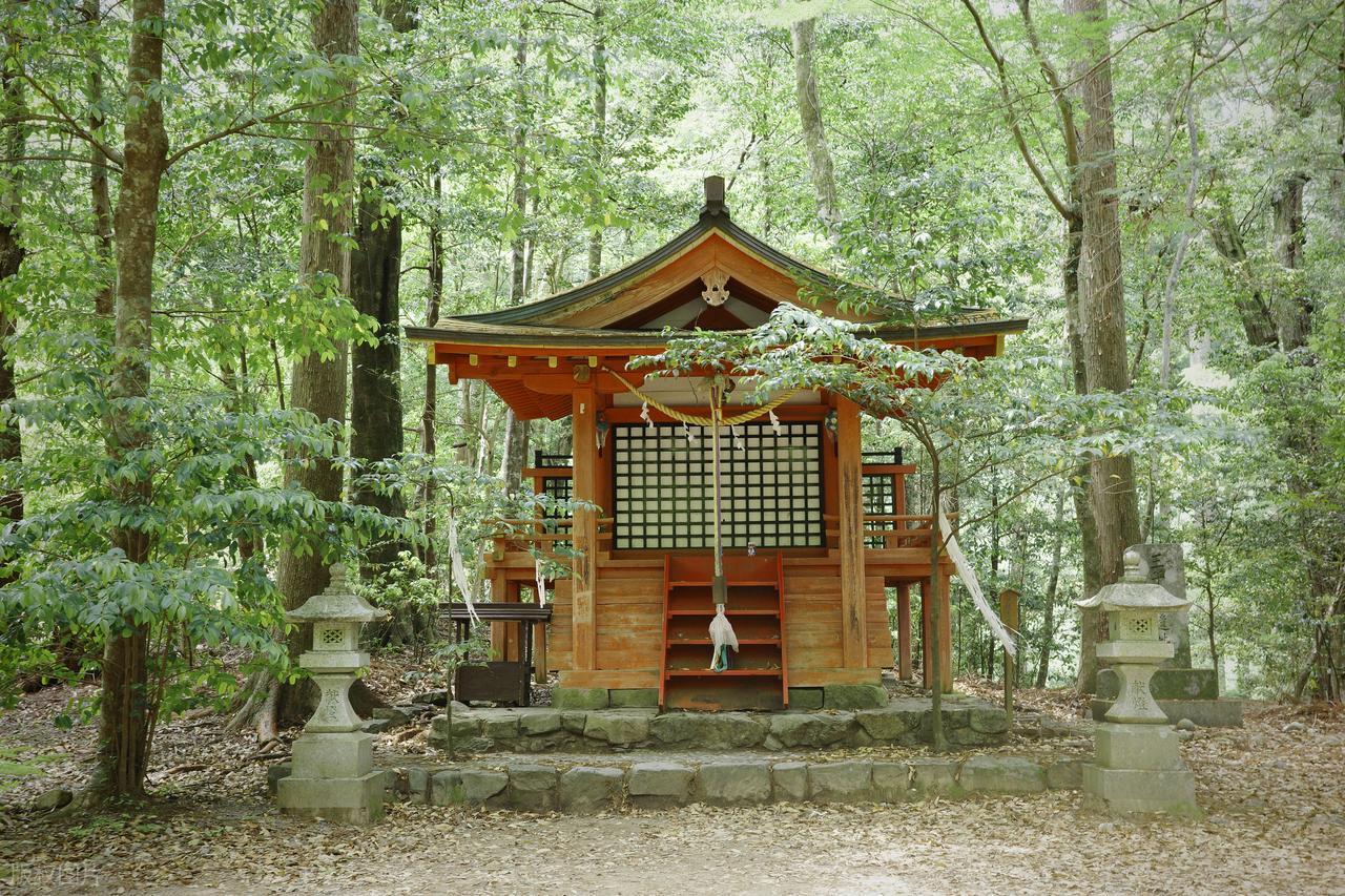 KAIYUN-石平去日本后，与中国妻子离婚，与日本妻子离婚，与父母断绝来往