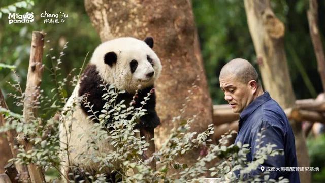 开云-就让成都一直“漂”！“川超”新梗又来了……