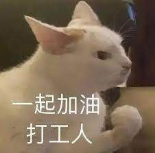 开云体育下载-2002年起第5次晋级世界杯 看看哥斯达黎加的街头